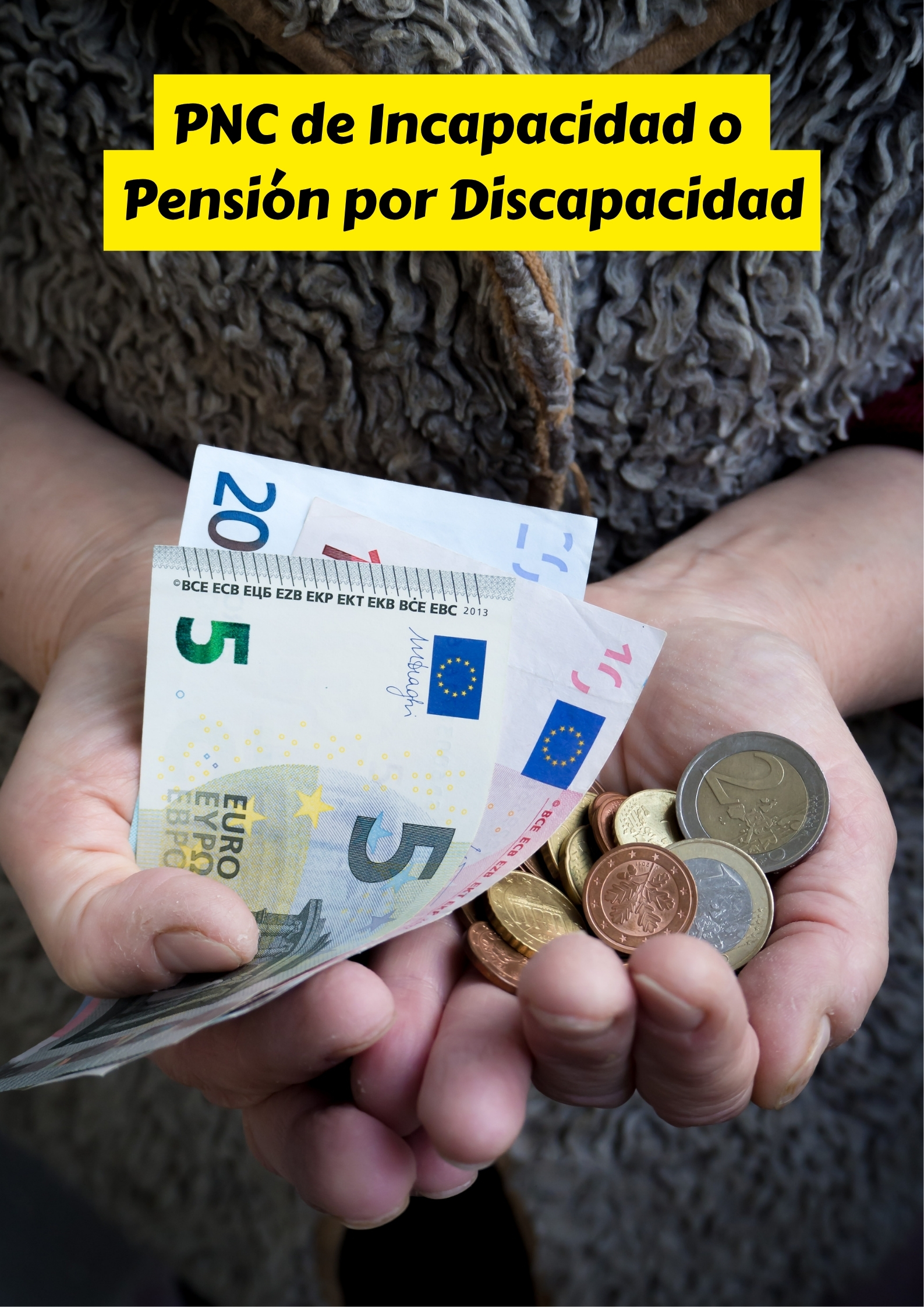 Pensión por Discapacidad